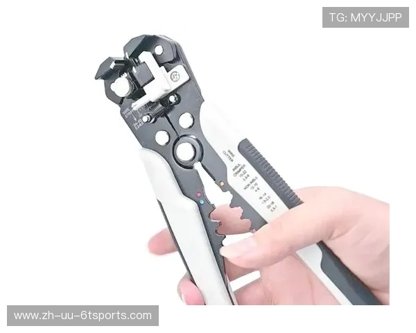 高性价比微型健身器械：家庭健康管理的必备利器